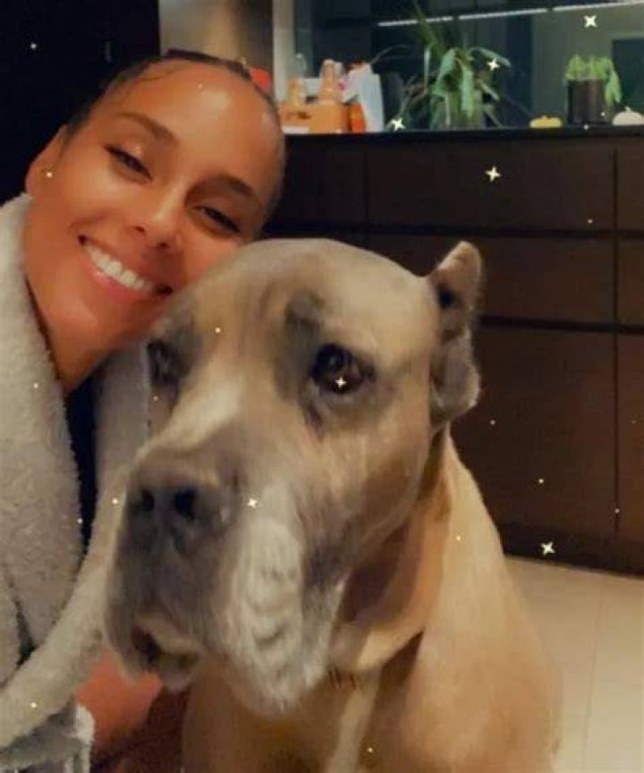 Alicia Keys Pets