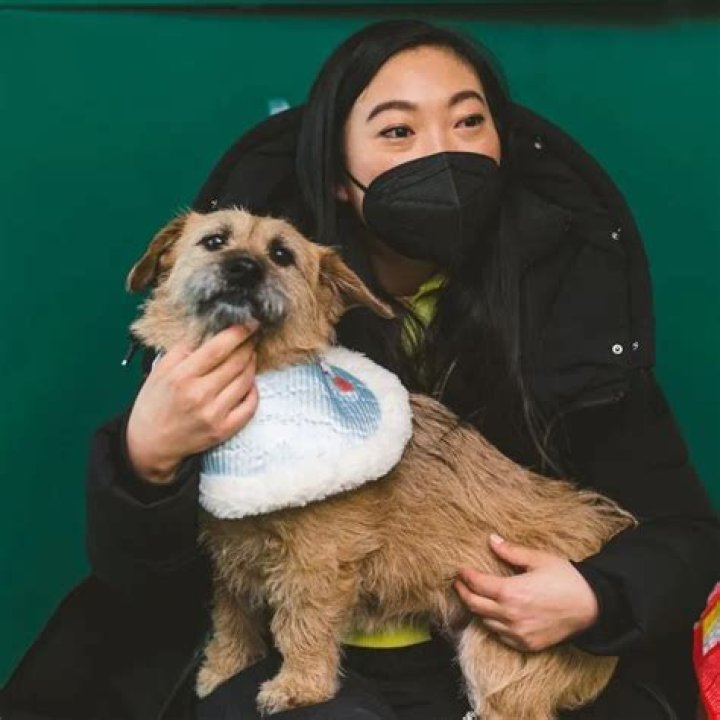 Awkwafina Pets