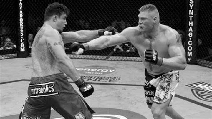 Brock Lesnar UFC