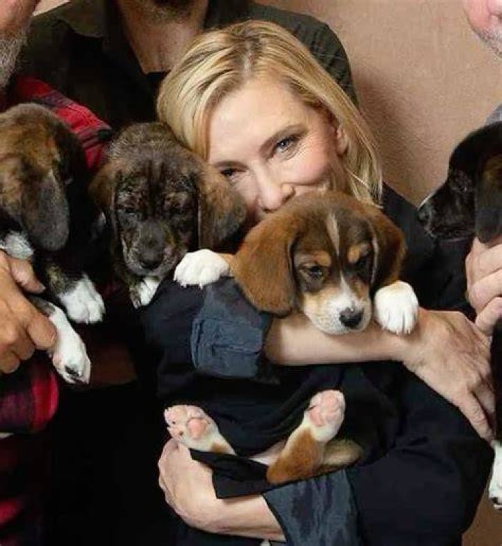 Cate Blanchett Pets