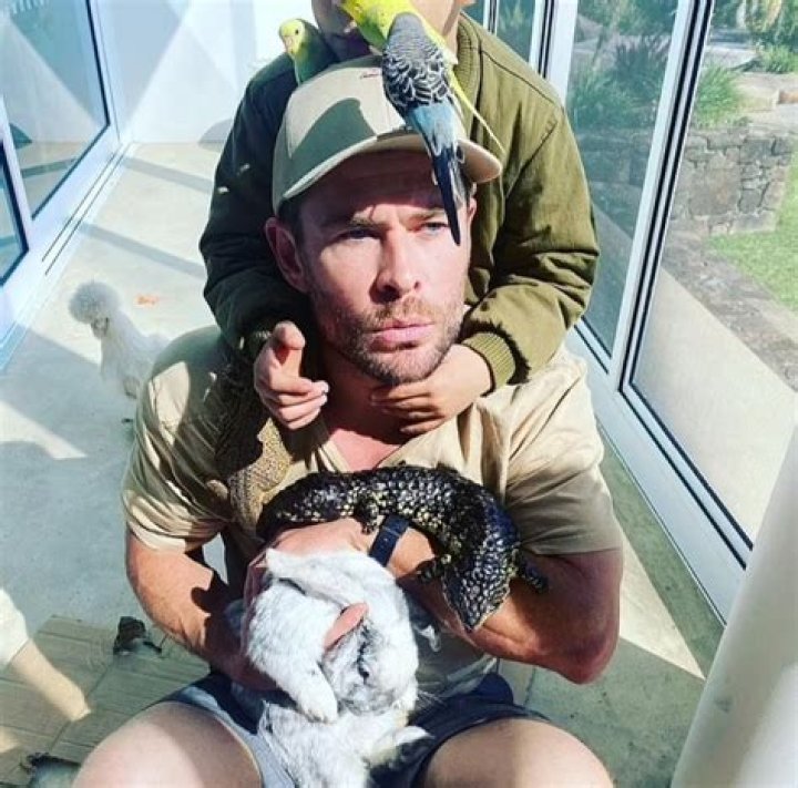 Chris Hemsworth Pets