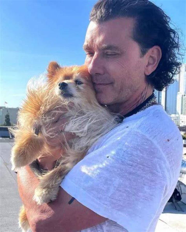 Gavin Rossdale Pets