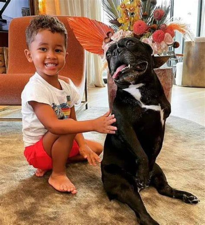 John Legend Pets