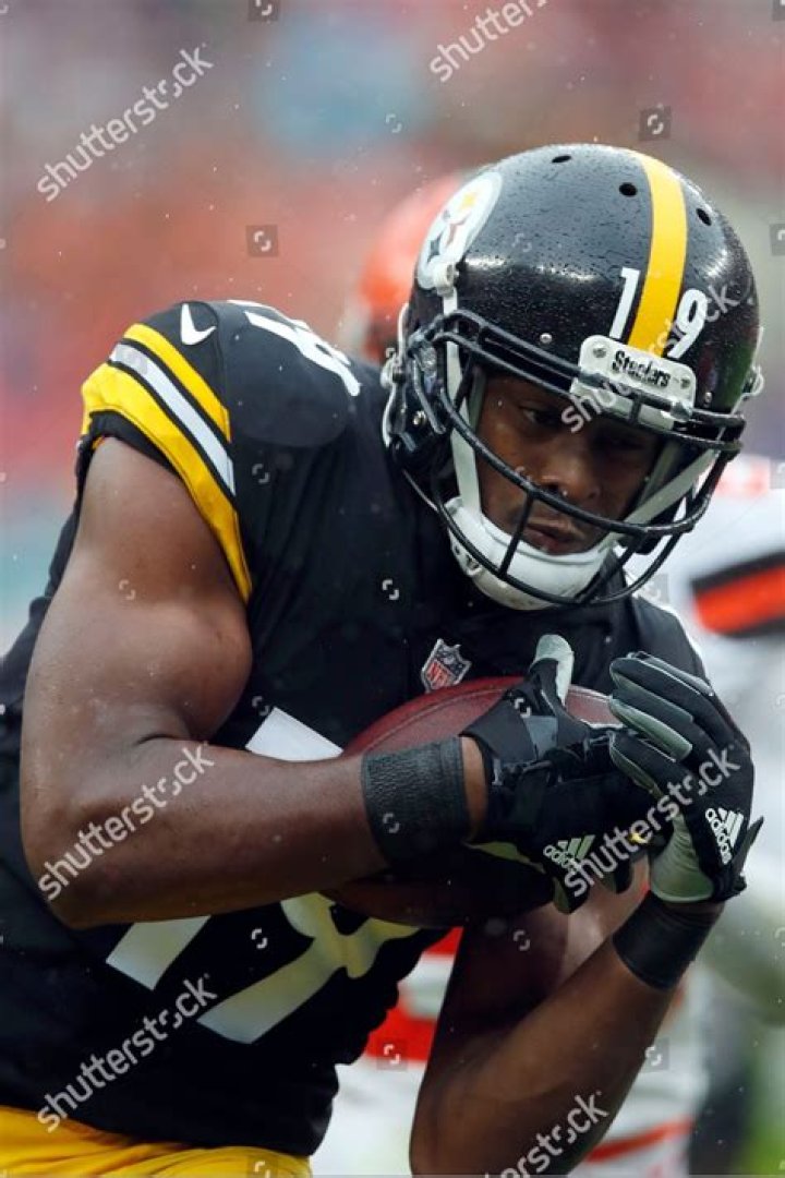 JuJu Smith-Schuster's pet Boujee