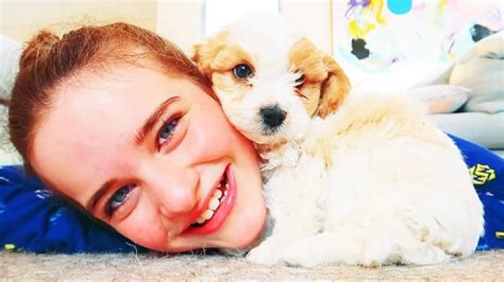 Justin Norris Pets