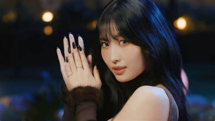 Momo Hirai's pet Petco, Pudding & Lucky