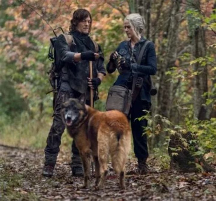 Norman Reedus Pets