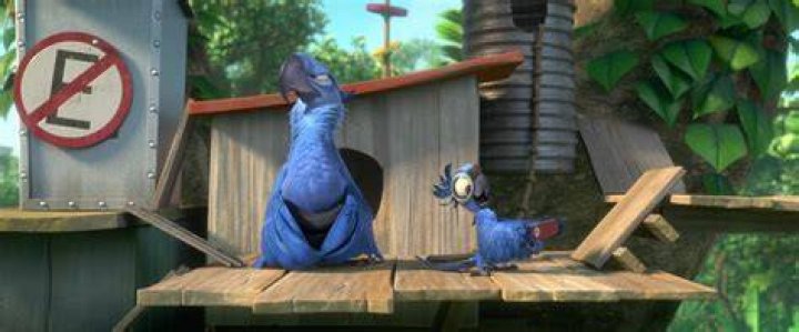 Pierce Gagnon Pets