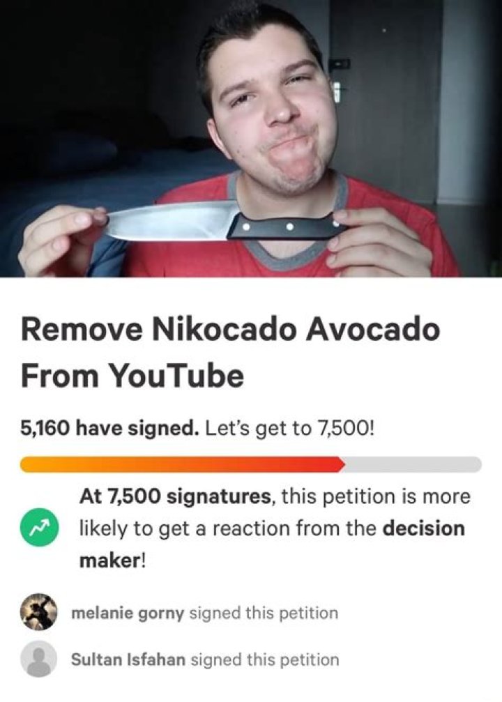 Remove Nikocado Avocado from YouTube petition.