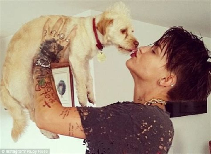 Ruby Rose Pets