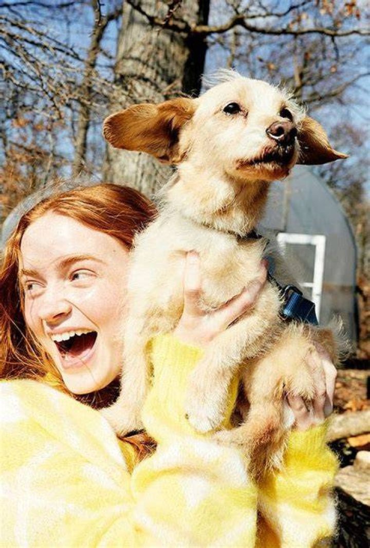 Sadie Sink Pets