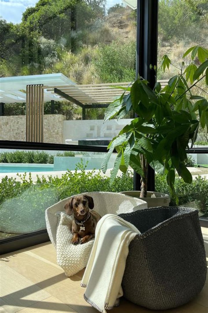 Sofia Richie Pets