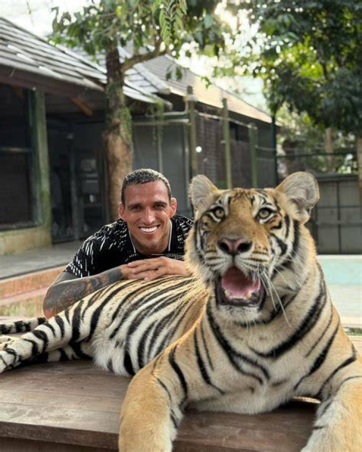 Tiger Instagram